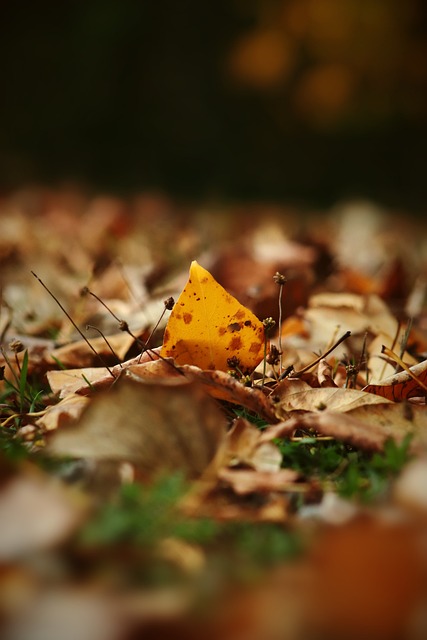 更是米兰这 更是米兰这