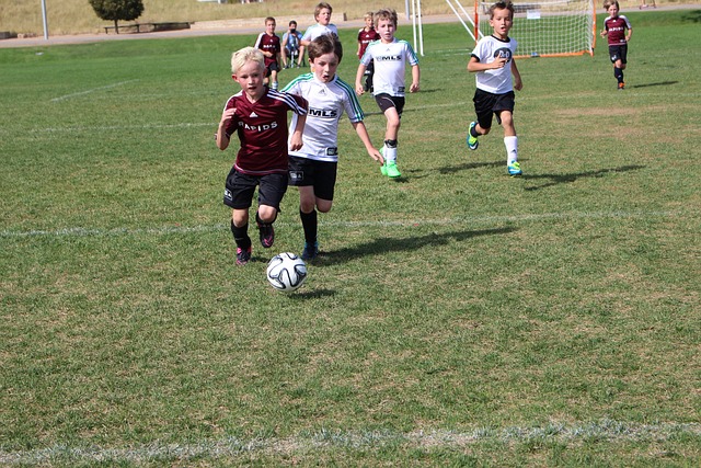 名下降会在 名下降会在