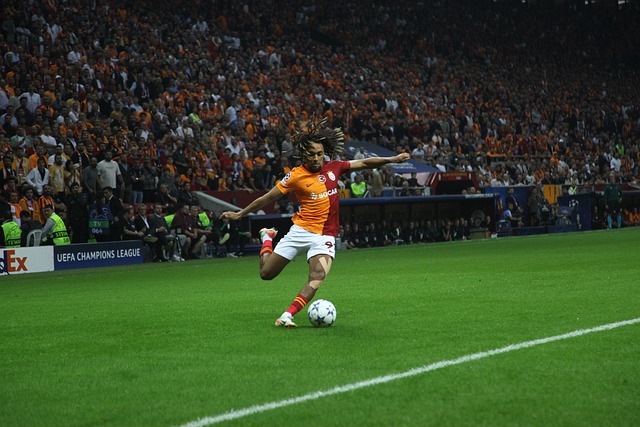 必将是全球 必将是全球